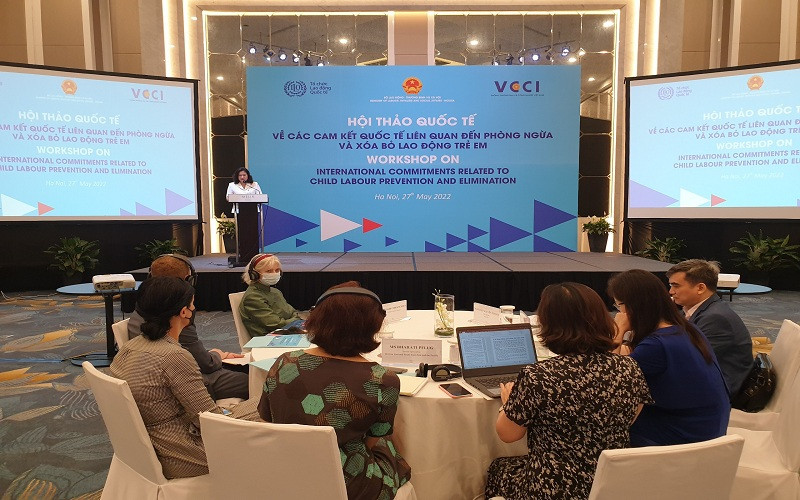 Các đại biểu tham gia thảo luận tại hội thảo.