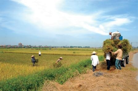 Ảnh: KHÁNH AN, TRẦN HÙNG