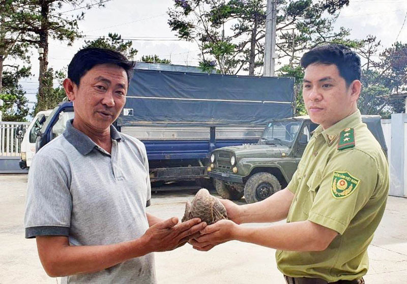 Ông Dũng giao nộp cá thể tê tê vàng quý hiếm cho Hạt Kiểm lâm TP Đà Lạt.