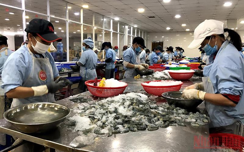 Công nhân chế biến hải sản xuất khẩu tại Khu công nghiệp Quảng Phú.