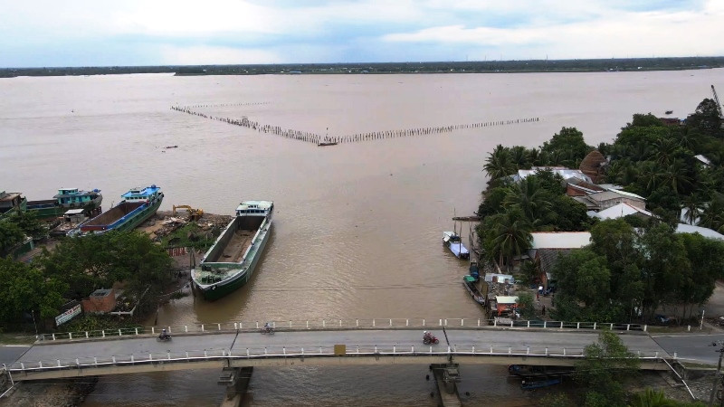 Bãi cọc ngầm nhìn từ cầu Cái Lóc hướng ra sông Cổ Chiên, trông giống như cái nò bắt cá khổng lồ giữa dòng sông.