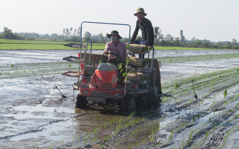 Hợp tác xã Dịch vụ nông nghiệp Mỹ Đông 2, huyện Tháp Mười, tỉnh Đồng Tháp áp dụng máy cấy lúa trên đồng ruộng. (Ảnh: Hữu Nghĩa)