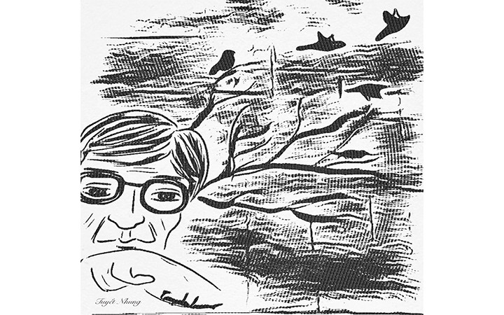 Tiếng hót sổ lồng