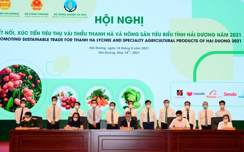 Các sàn thương mại điện tử ký thỏa thuận hợp tác với các doanh nghiệp sản xuất, thu mua chế biến nông sản.