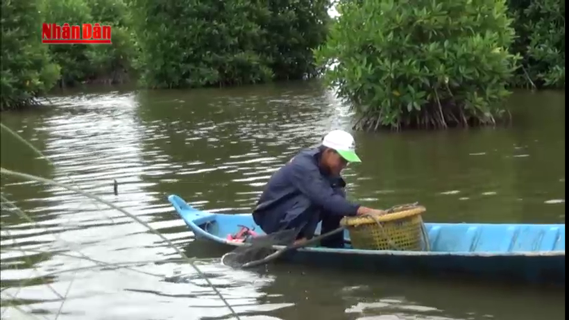 Đầm Đông Hồ