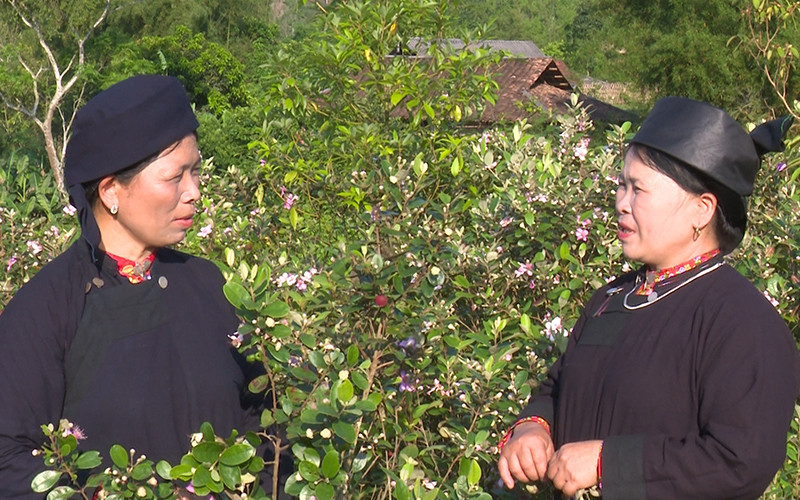 Một buổi hát Sli của đồng bào dân tộc Nùng, xã Xuân Dương, huyện Na Rì (Bắc Kạn).