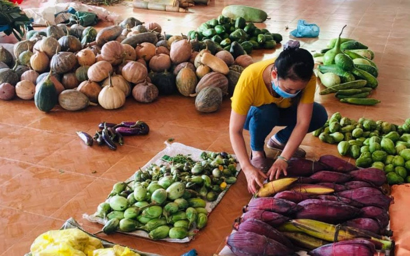 Phân loại thực phẩm trước khi đưa đến hỗ trợ cho người dân vùng dịch.