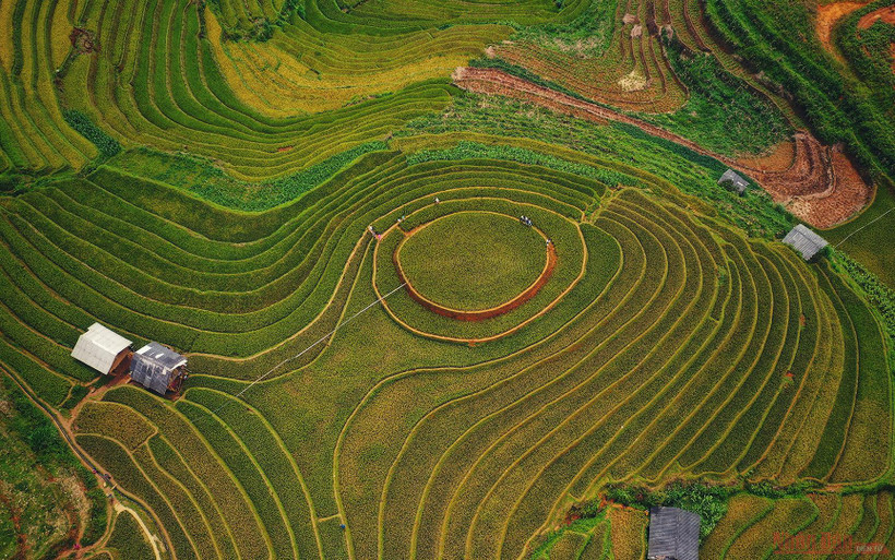 Mù Cang Chải mùa lúa chín