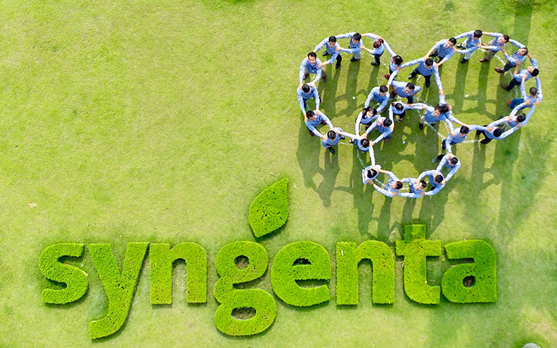 Syngenta luôn đồng hành cùng nhà nông Việt và đóng góp vào sự phát triển bền vững của nền nông nghiệp Việt Nam.