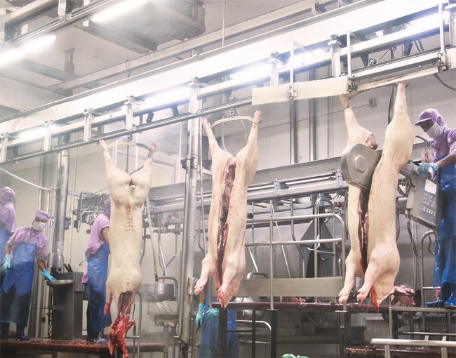 Đến cuối năm 2017, việc giết mổ gia súc, gia cầm ở thành phố chỉ được tiến hành trên những dây chuyền hiện đại.