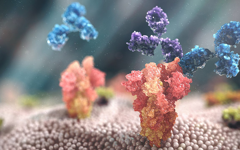 AZD7442 có hiệu quả và khả năng phòng ngừa Covid-19 lâu dài