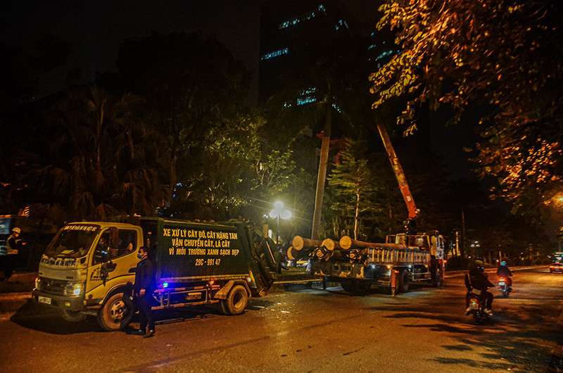 Đơn vị thi công đang thực hiện cắt tỉa, di chuyển cây xanh để phục vụ xén dải phân cách.