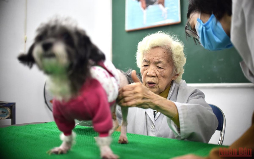 Những "bệnh nhân" đặc biệt của bà giáo 88 tuổi