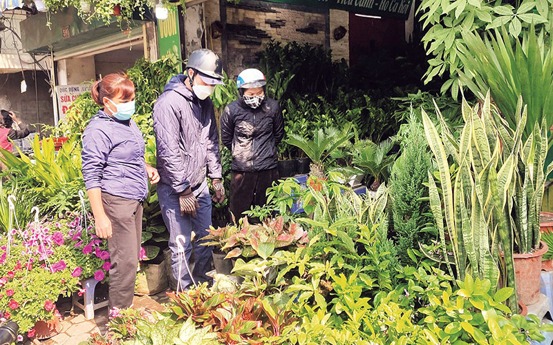 Chợ cây cảnh phố Hoàng Hoa Thám luôn nhộn nhịp khách mua, nhất là trong các phiên chợ hằng tháng.
