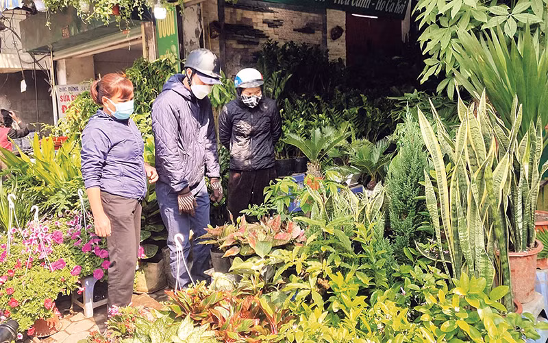 Chợ cây cảnh phố Hoàng Hoa Thám luôn nhộn nhịp khách mua, nhất là trong các phiên chợ hằng tháng.