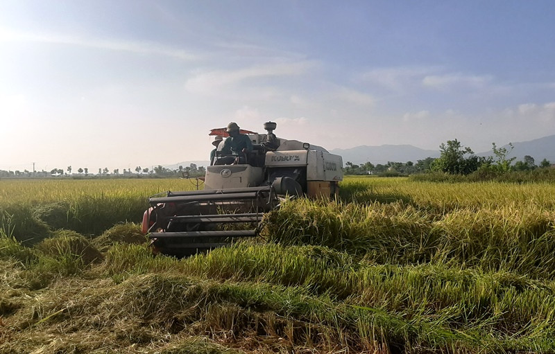 Chuyển đổi, tập trung ruộng đất tạo đà đưa cơ giới hóa vào sản xuất nông nghiệp ở Can Lộc. 