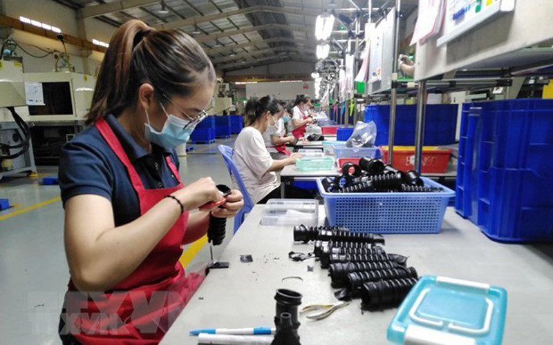 Ảnh minh họa. (Ảnh: Minh Hưng/TTXVN)