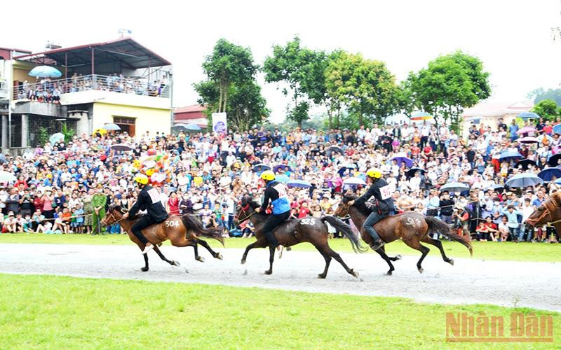Sôi động “Vó ngựa cao nguyên trắng Bắc Hà 2022”.