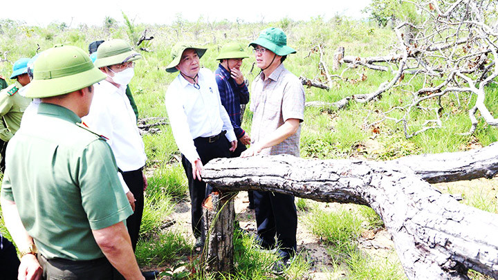 Bí thư Tỉnh ủy Đắk Lắk Nguyễn Đình Trung và Chủ tịch UBND tỉnh Phạm Ngọc Nghị kiểm tra hiện trường vụ phá rừng tại tiểu khu 205 và 222, xã Ya Tờ Mốt, huyện Ea Súp.