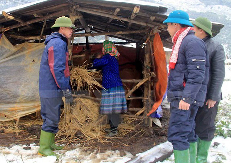 Tăng cường các biện pháp phòng, chống rét cho vật nuôi. (Ảnh minh họa)