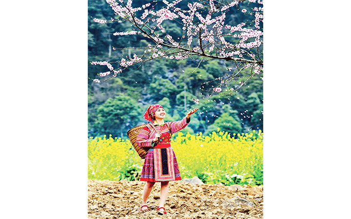 Ảnh | CHU VIỆT BẮC