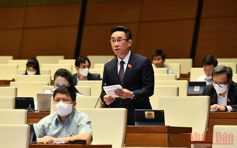 Đại biểu Quốc hội Nguyễn Hải Anh (Đồng Tháp) phát biểu tại phiên thảo luận trực tuyến về tình hình thực hiện chính sách, chế độ bảo hiểm xã hội, quản lý và sử dụng Quỹ bảo hiểm xã hội năm 2020.