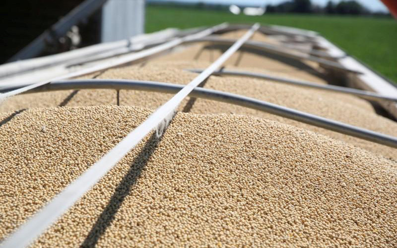 Ảnh minh họa. (Ảnh: Reuters)