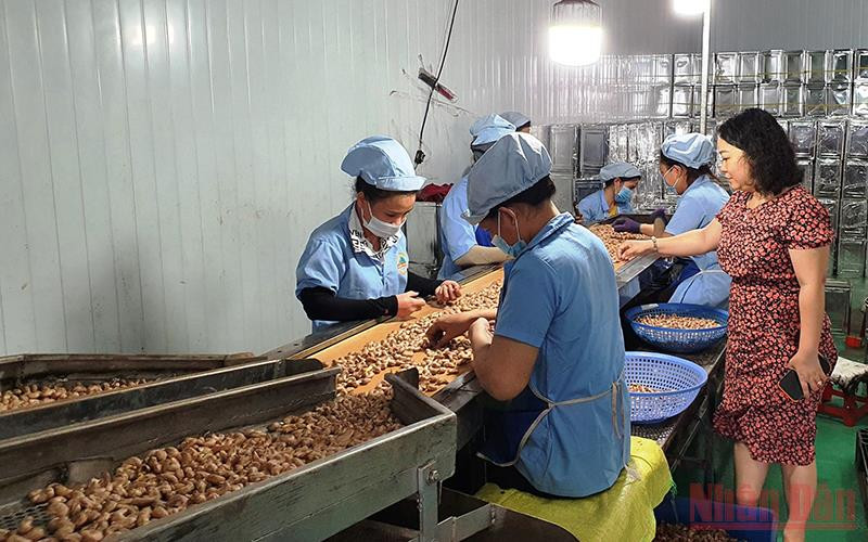 Nhiều lĩnh vực kinh tế Đắk Nông đang phục hồi sau đại dịch Covid-19.