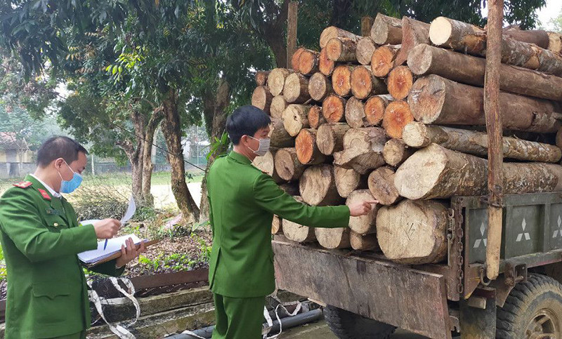 Công an kiểm đếm, kê biên số lượng gỗ vận chuyển trên xe tự chế.