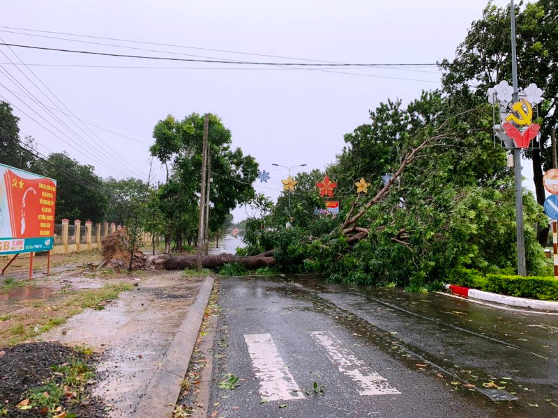 Cây xanh bật gốc đổ chắn ngang đường ở thị xã Ayun Pa.