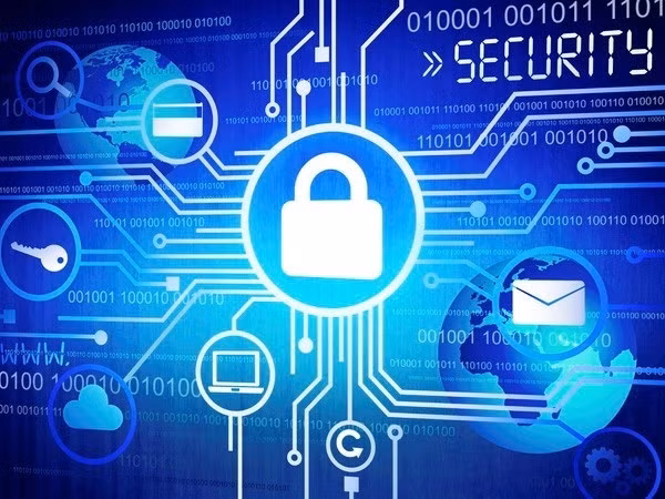 Ảnh minh họa. (Nguồn: chinhphu.vn)