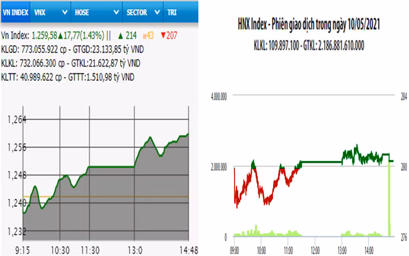 Diễn biến VN-Index và HNX-Index, phiên giao dịch ngày 10-5. 