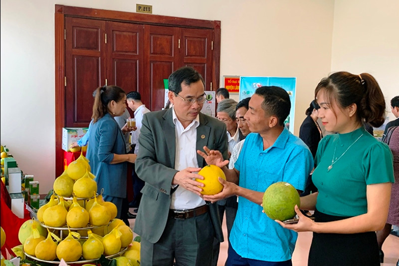 Các đại biểu tham quan gian hàng trưng bày sản phẩm bưởi và trao đổi kinh nghiệm sản xuất tại diễn đàn.