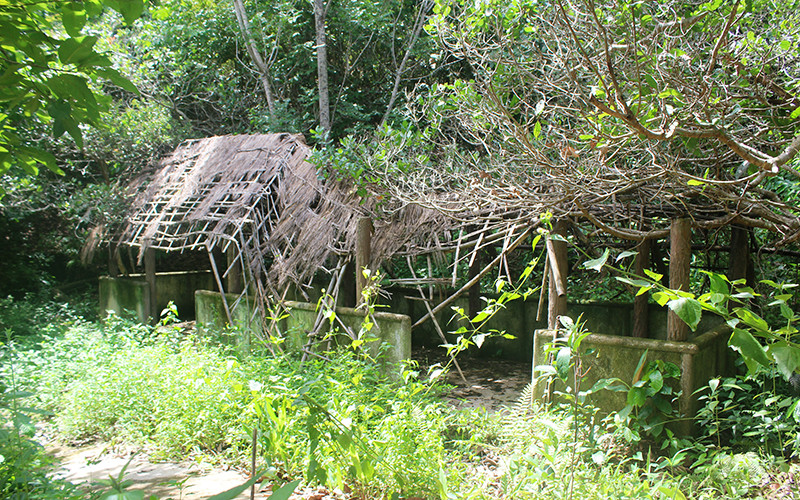 Điểm di tích Văn phòng làm việc Ban Cán sự liên tỉnh IV, Di tích lịch sử cấp quốc gia Căn cứ kháng chiến B4-Liên tỉnh IV tại huyện Krông Nô, tỉnh Đắk Nông hoang phế. 