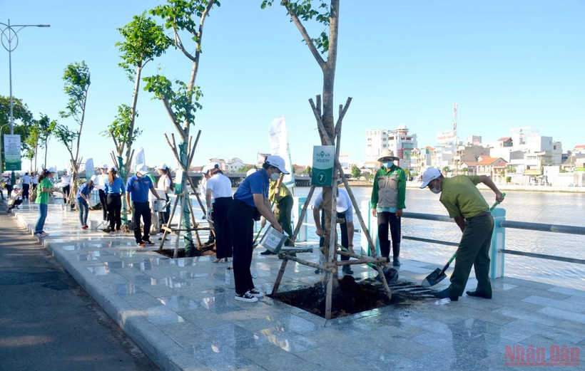 Trồng cây xanh trên tuyến đường dọc bờ sông Cà Ty, thành phố Phan Thiết.