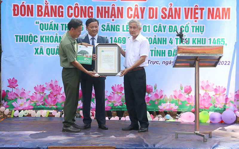 Hội Bảo vệ thiên nhiên và môi trường Việt Nam trao Bằng công nhận quần thể Cây di sản Việt Nam cho Công ty trách nhiệm hữu hạn một thành viên Lâm nghiệp Nam Tây Nguyên.