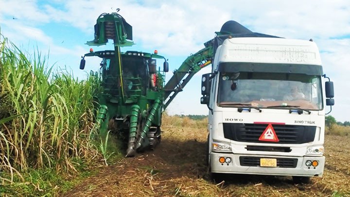 Cơ giới hóa đồng bộ được người trồng mía Việt Nam đầu tư tại Campuchia.