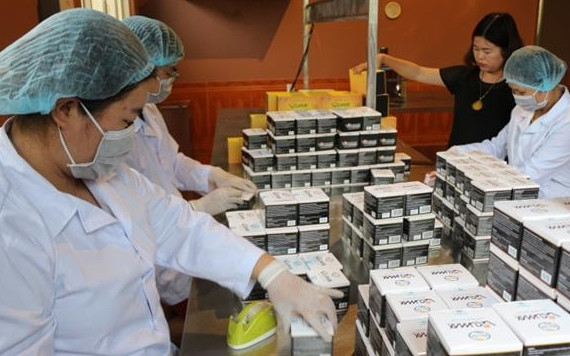 Sản xuất sản phẩm tinh bột nghệ Vi-cumax Nano của Công ty TNHH nhà máy Curcumin Bắc Hà (TP Bắc Kạn, tỉnh Bắc Kạn ).