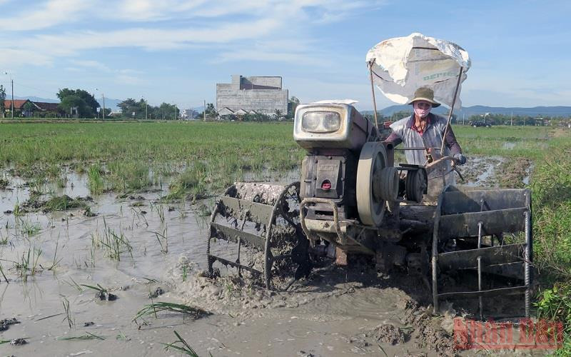 Nông dân xã Hòa An, huyện Phú Hòa, Phú Yên khẩn trương làm đất gieo sạ vụ Đông Xuân 2021-2022.