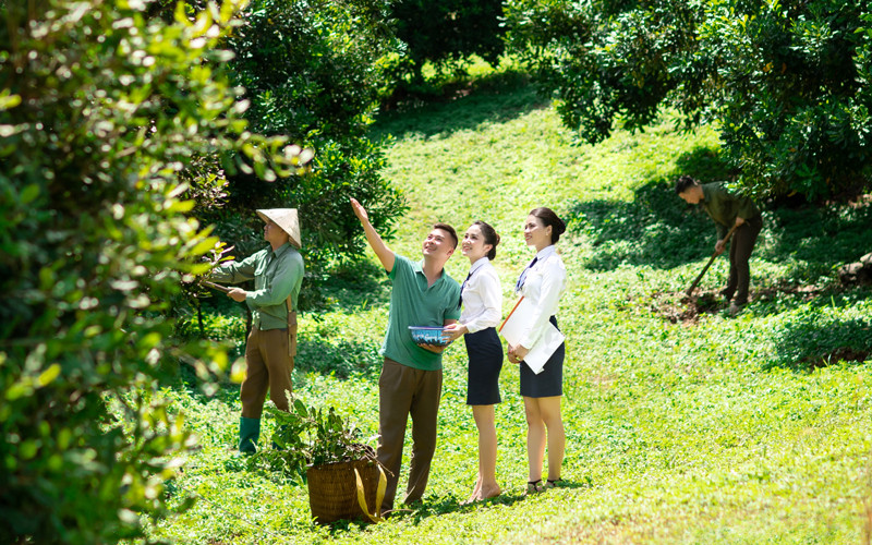 Tại Việt Nam, nông nghiệp là một trong những lĩnh vực được ưu tiên phát triển.