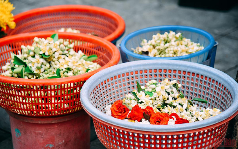 Hoa bưởi được bày bán trên phố Hàng Khoai để phục vụ người dân mua sắm cho ngày mùng 1 đầu tháng. (Ảnh: Minh Duy)