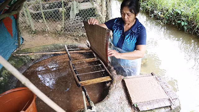 Bà Quyết làm giấy bản truyền thống bằng phương pháp thủ công.