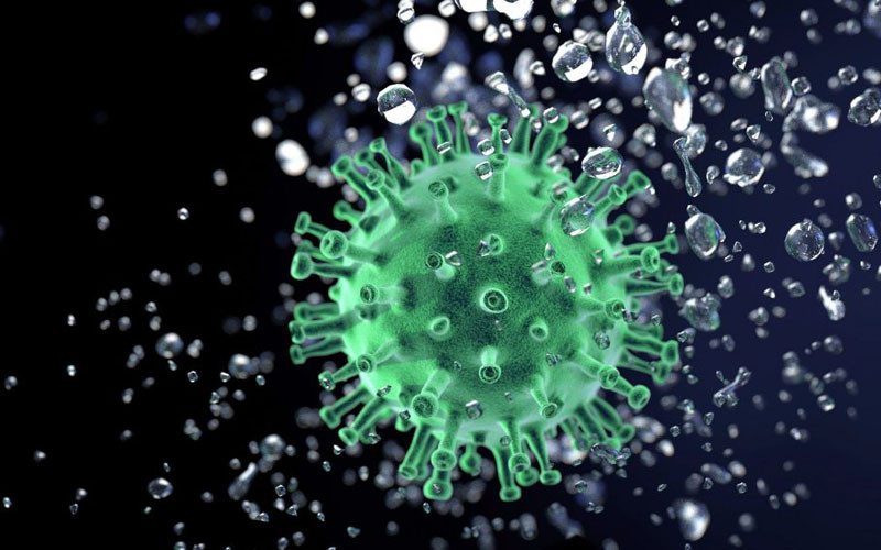 Virus SARS-CoV-2 (Ảnh: PIXABAY)
