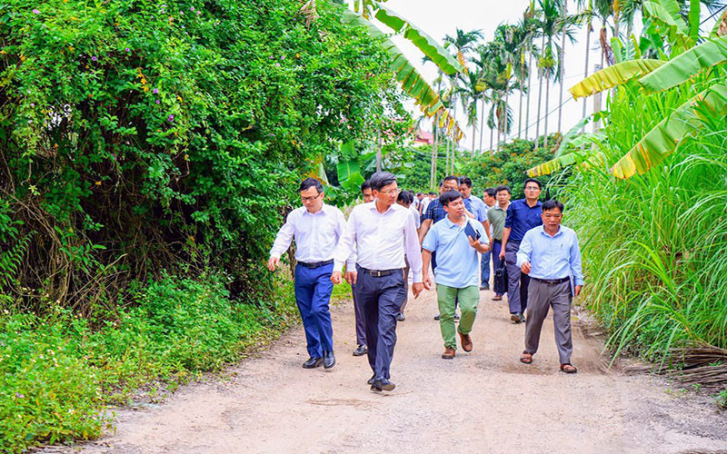 Lãnh đạo Ủy ban nhân dân thành phố Hải Phòng cùng các ngành chức năng thị sát, kiểm tra việc quản lý, sử dụng đất đai tại Công ty nông nghiệp Quý Cao. (Ảnh: Cổng TTĐT Hải Phòng)