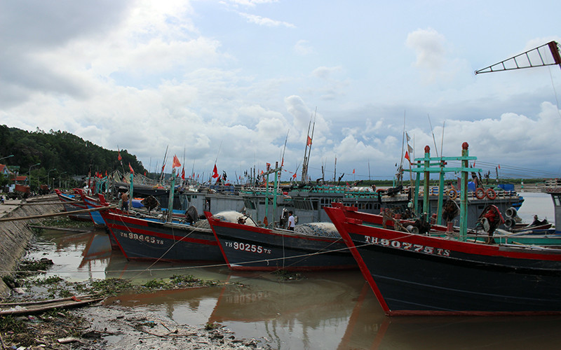 Cảng cá Lạch Hới, phường Quảng Tiến, TP Sầm Sơn, tỉnh Thanh Hóa.