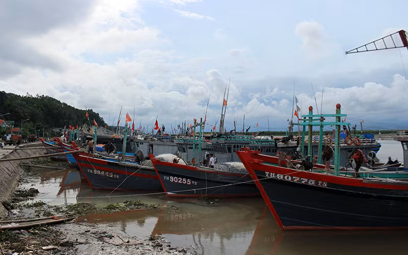 Cảng cá Lạch Hới, phường Quảng Tiến, TP Sầm Sơn, tỉnh Thanh Hóa.