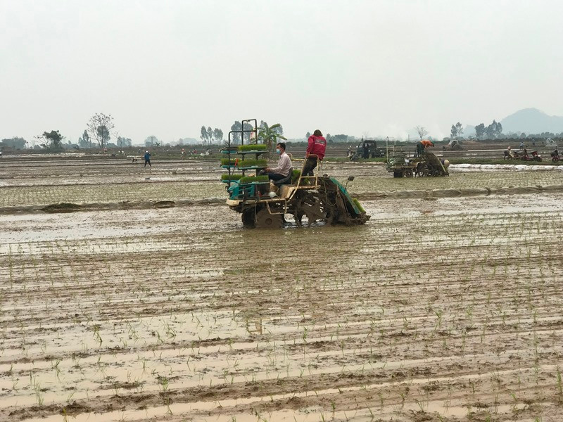 Đẩy mạnh cơ giới hóa trong sản xuất nông nghiệp.