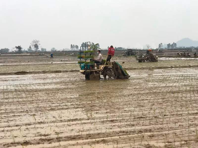 Đẩy mạnh cơ giới hóa trong sản xuất nông nghiệp.