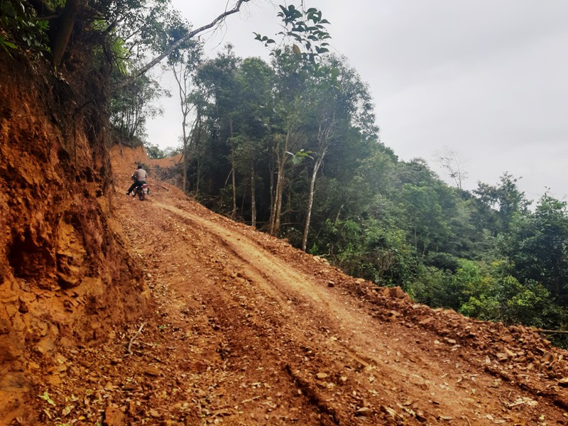 Một đoạn trên tuyến đường mở trái phép vào rừng.