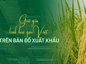 Gìn giữ tinh hoa gạo Việt trên bản đồ xuất khẩu